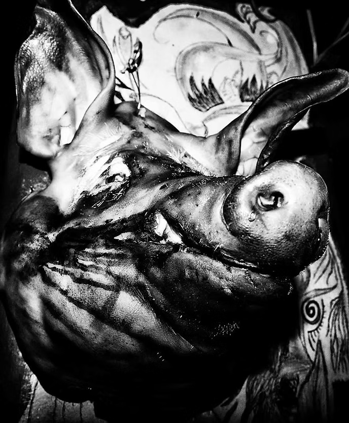 Manos Chrisovergis — Untitled