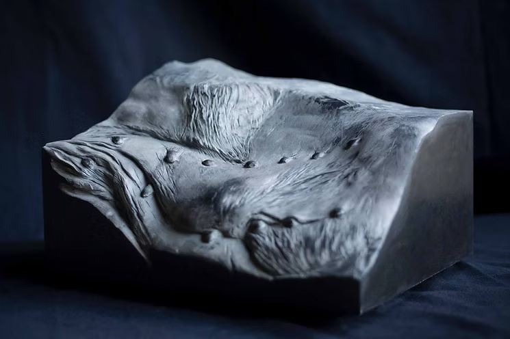 Chantal Pollier — Erratic 1
