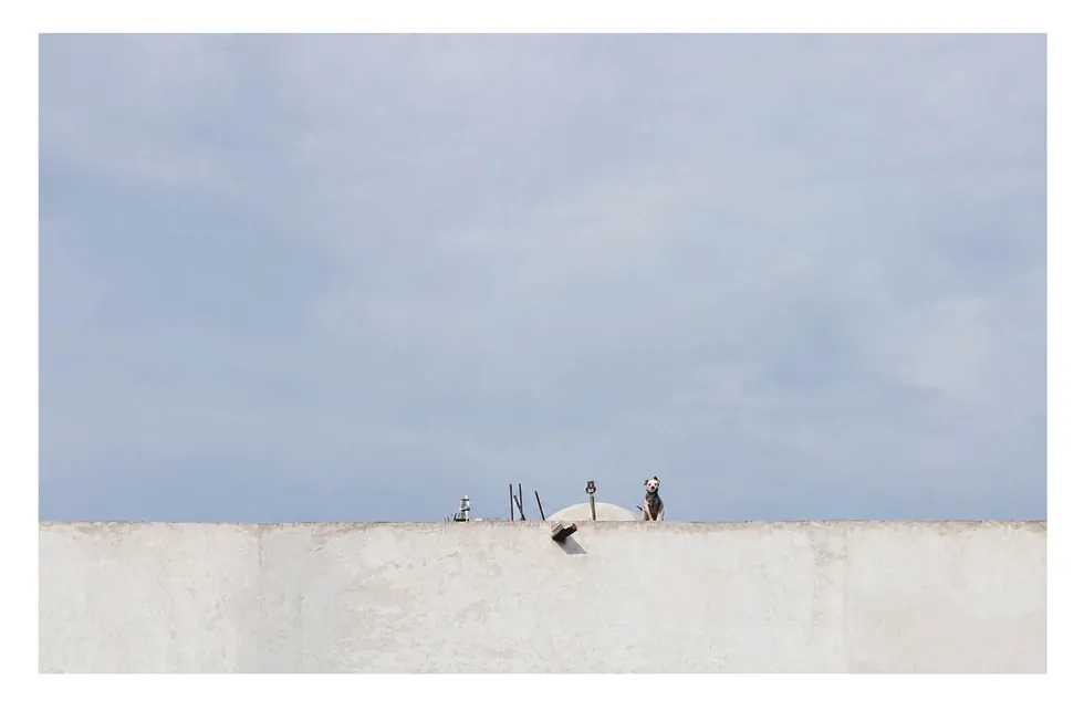 Intervals — photograph 7
