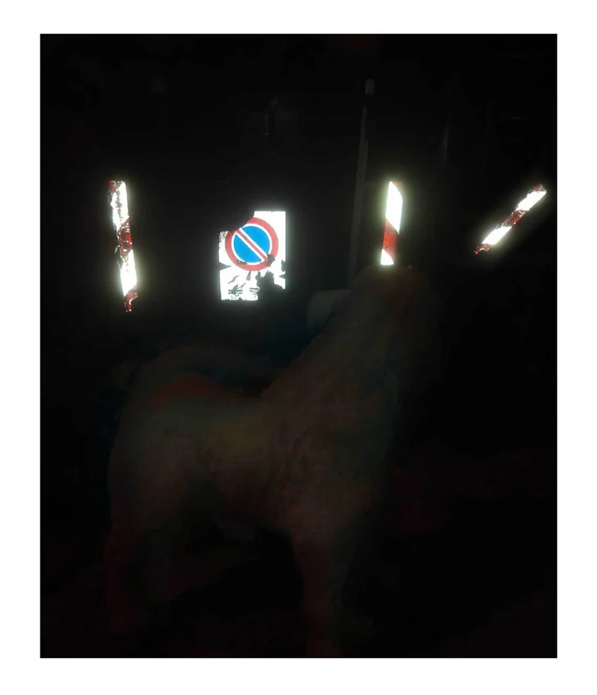 Afterimages — photograph 12