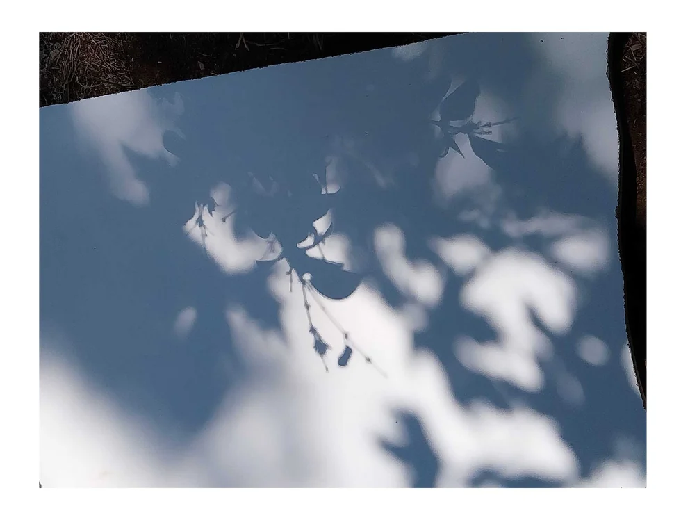 Afterimages — photograph 14