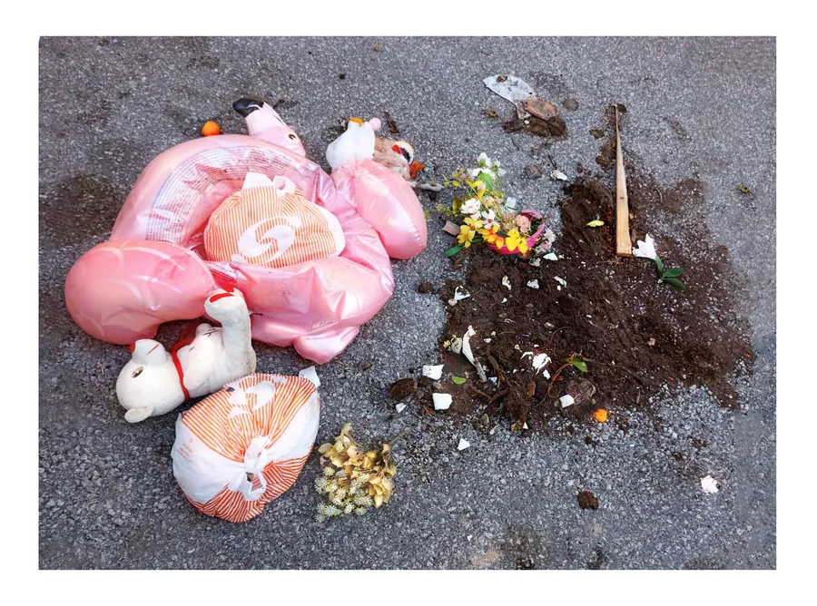 Still Growing — photograph 13